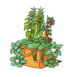 A grow bag packed full of lovely fresh growing vegetables